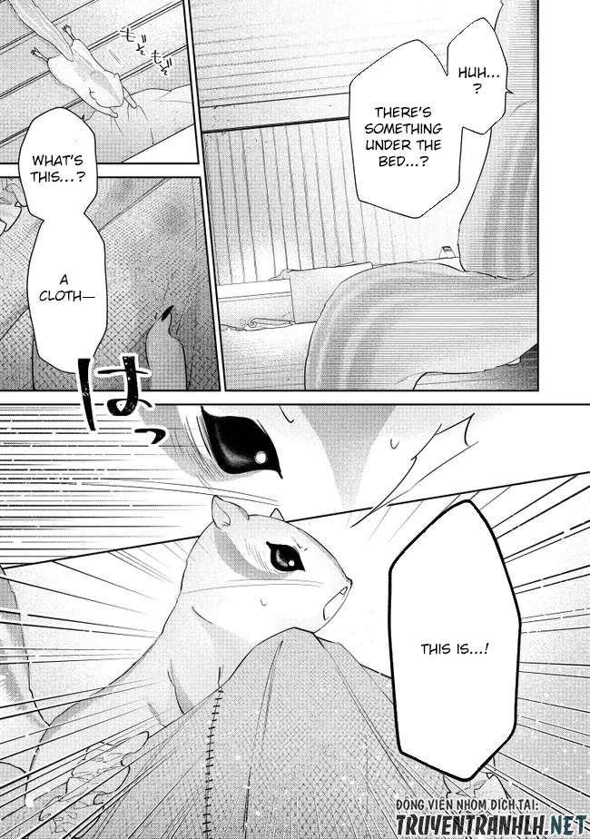 My Fiancé, Who Used to Hate Me, Turned into a Squirrel and Came to Me for Help. Chapter 3 Page 27